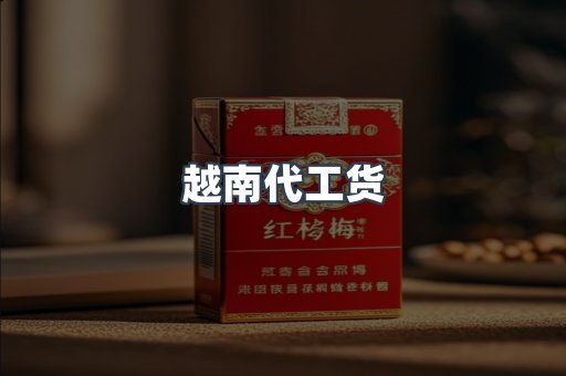 越南代工货